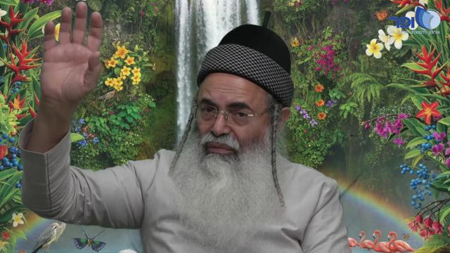 חדושים ופרפראות לפרשת בשלח חלק ה' תשפו -