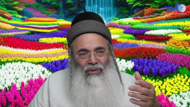 פרפראות וחדושים לפרשת יתרו תשפו חלק ה'