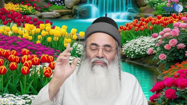 פרפראות וחדושים לפרשת משפטים תשפו