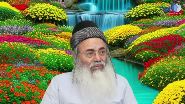 פרפראות וחדושים לפרשת משפטים תשפו חלק ז'