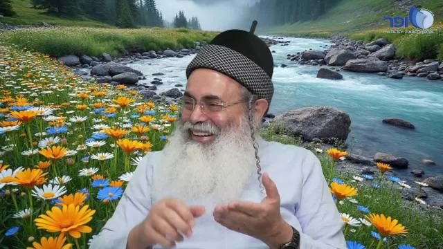 פרפראות וחדושים לימי פורים תשפו - חלק א'