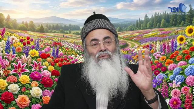 פרפראות וחדושים לימי פורים תשפו - חלק ג'