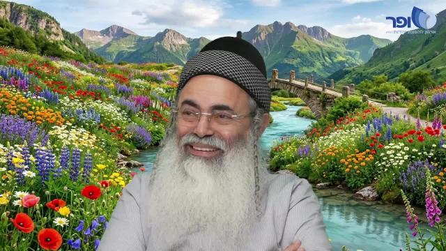 פרפראות וחדושים לחג הפסח תשפ''ו