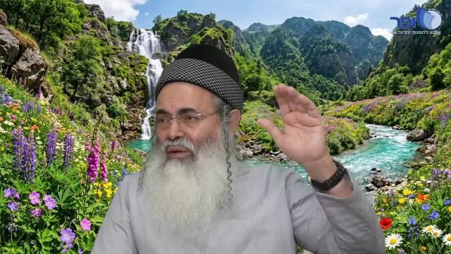 פרפראות וחדושים לפרשת כי תשא תשפ''ו - חלק א'