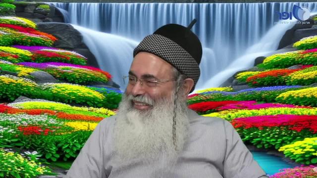 פרפראות וחדושים לפרשת ויקהל תשפו