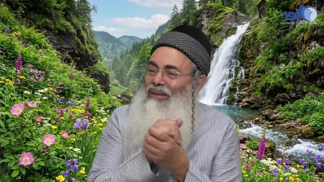 פרפראות וחדושים לחג הפסח חלק ב'