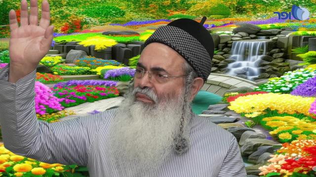 פרפראות וחדושים לחג הפסח תשפ''ו - חלק ג'