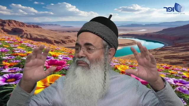 פרפראות וחדושים לחג הפסח תשפ''ו - חלק ד'