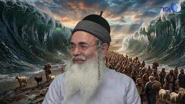 פרפראות וחדושים לחג הפסח תשפ''ו - חלק ה'