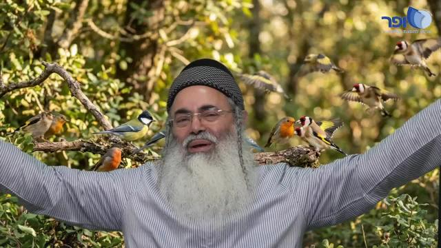 פרפראות וחדושים לחג הפסח תשפ''ו - חלק ו'