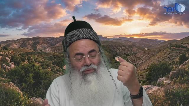 מחלוקת