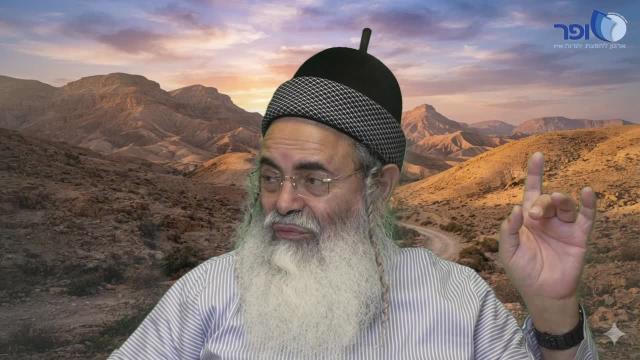 פרפראות וחידושים  לפרשת עקב חלק ב' תשפ"ו - הרב אמנון יצחק שליט"א