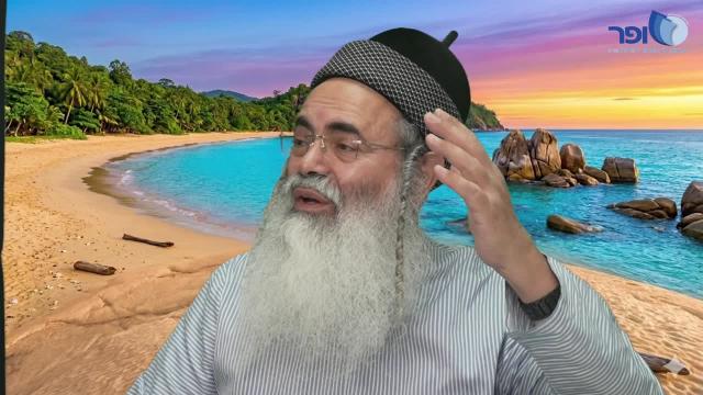 פרפראות חידושים לפרשת שופטים חלק ד' תשפ"ו