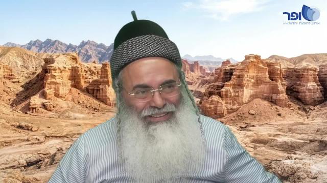 פרפראות וחידושים לפרשת כי תצא תשפ"ו