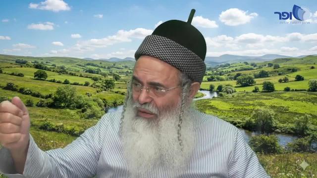 פרפראות וחידושים לפרשת כי תצא חלק ג' תשפ"ו