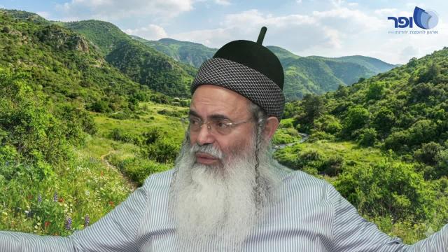 פרפראות וחידושים לפרשת כי תצא חלק ה' תשפ"ו