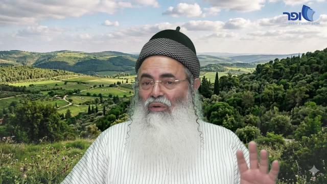 פרפראות וחידושים לפרשת כי תצא חלק ו' תשפ"ו