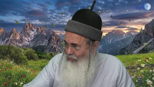 פרפראות וחידושים לפרשת כי תבוא חלק ג' תשפ"ו