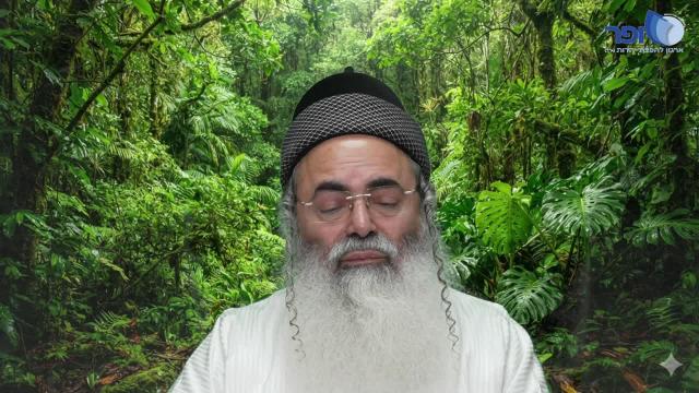 פרשת כי תבוא - מצות בכורים