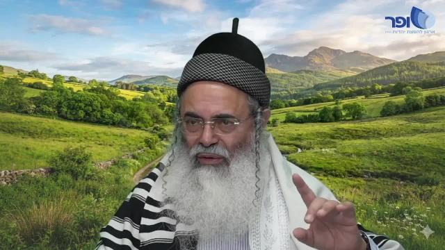 תלמיד חכם וכהן לא מיוחס