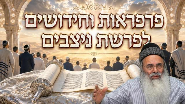 פרפראות וחידושים לפרשת נצבים תשפ"ו