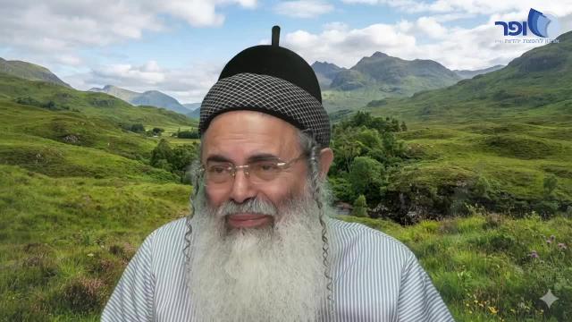 יונה במעי הדגה חלק ג'