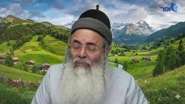 פלא יועץ - ערך סוכה